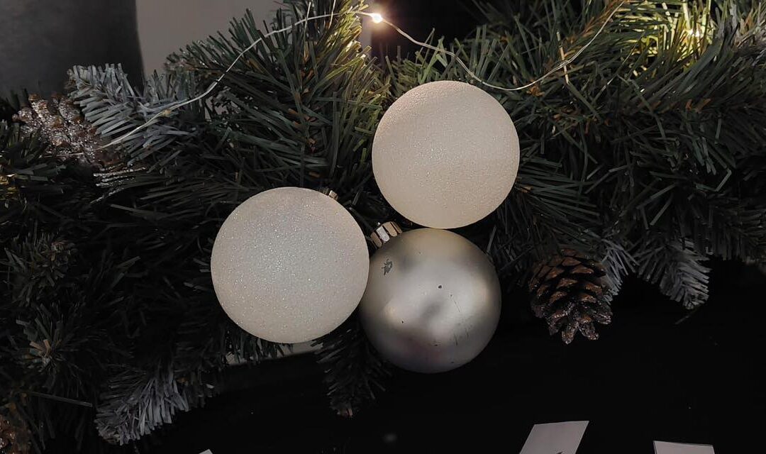 Srednja škola Slunj na Božićnom sajmu i otvorenju klizališta!