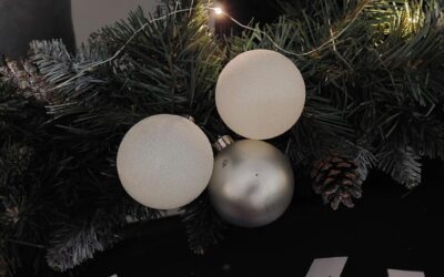 Srednja škola Slunj na Božićnom sajmu i otvorenju klizališta!